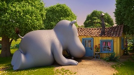 DVD Cover
