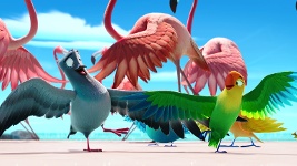 DVD Cover